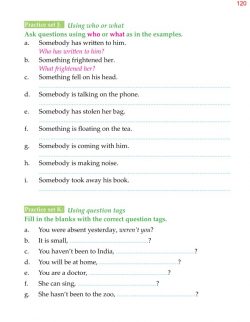 4th Grade Grammar Unit 14 Questions - Question Words and Question Tags 9.jpg